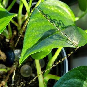 14K Gold 16in. Paperclip Necklace